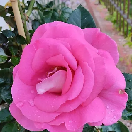 le Mas de la Jardine-2